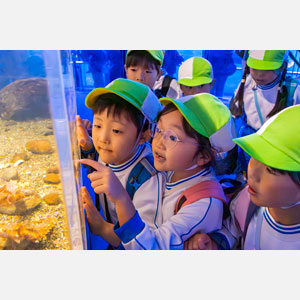 秋の遠足（年長）